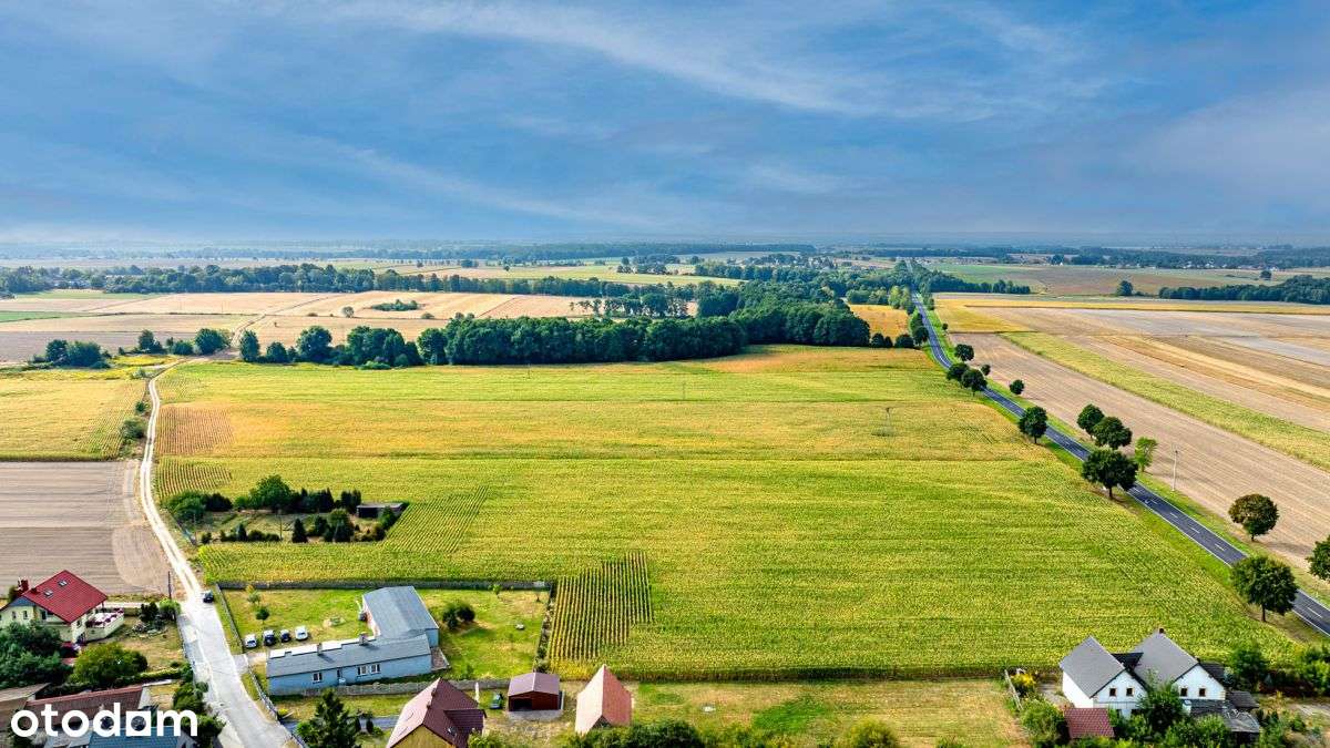 Bezpośrednio przy Dw901 Pod Usługi i Zabudowę - Pełny obrazek: 5/8