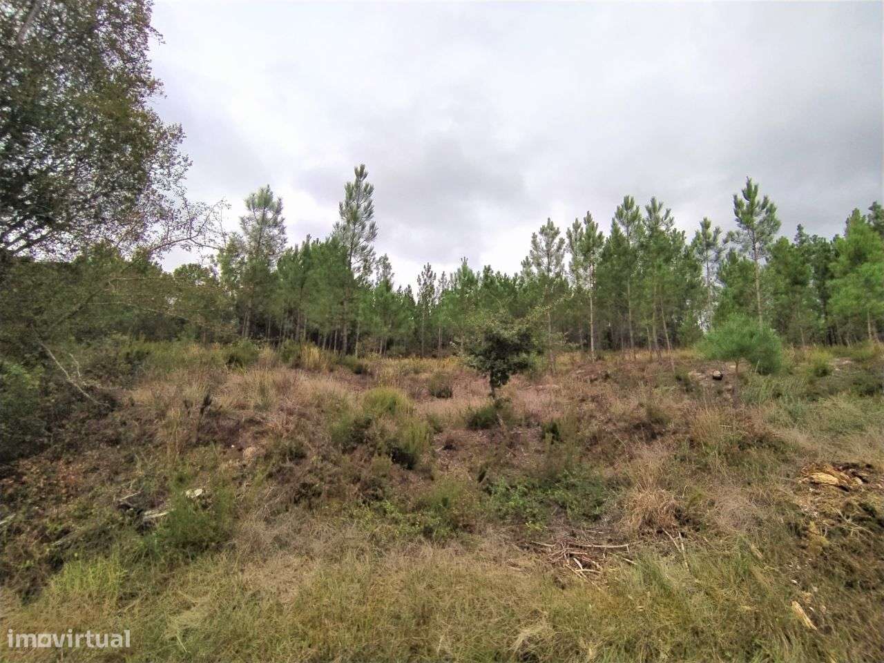 Terreno Para Construção na Lameirinha, Seiça! - Grande imagem: 2/4