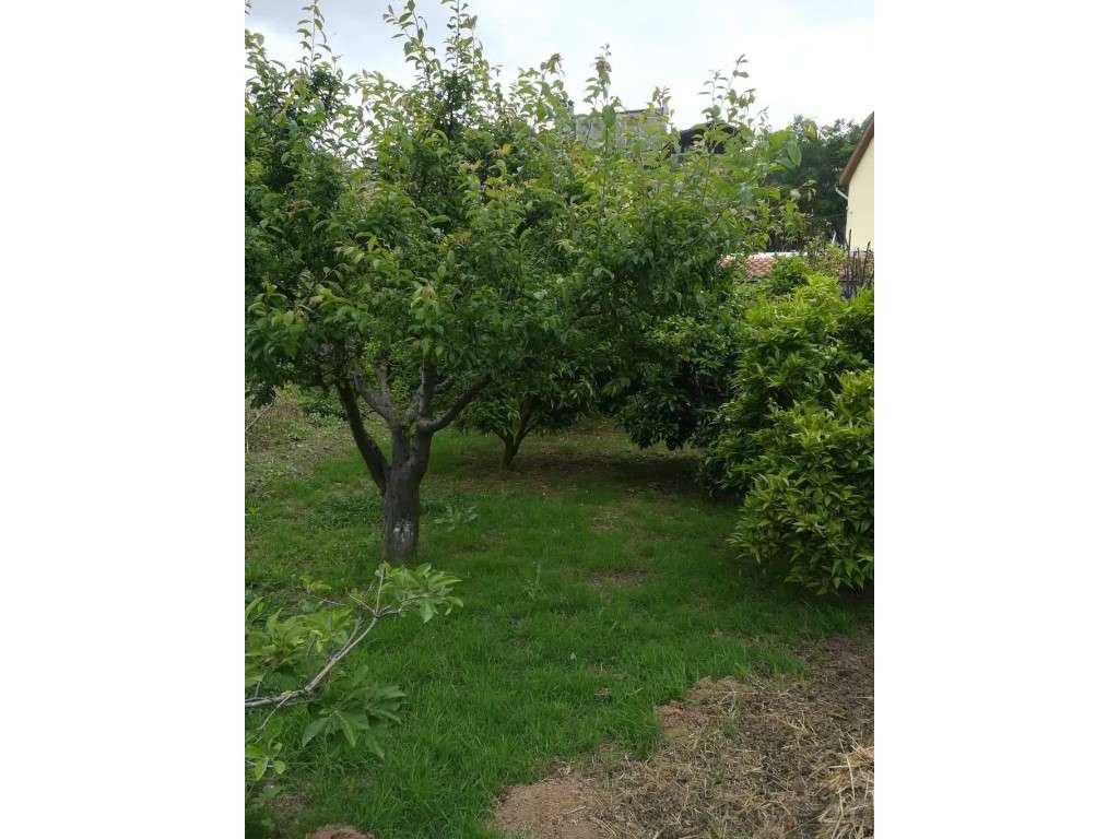 Terreno para construção na Borralha (Concelho de Águeda - Distrito ... - Grande imagem: 3/4