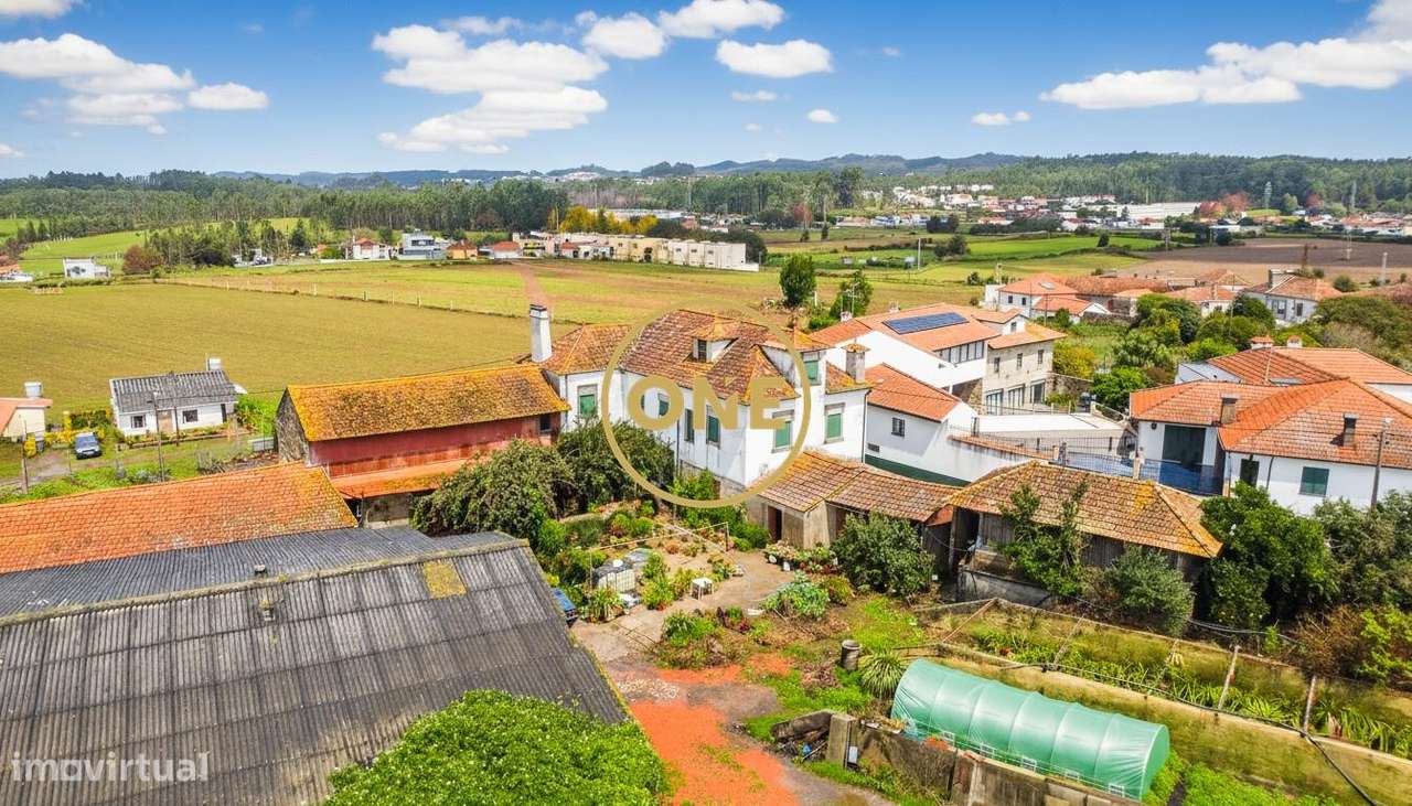 Quinta com 1.9 Hectares no Castêlo da Maia - Grande imagem: 5/22