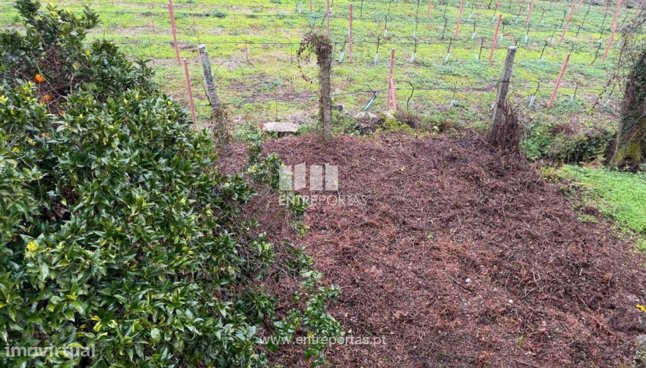 Venda Terreno, São Lourenço do Douro, Marco de Canaveses - Grande imagem: 5/17