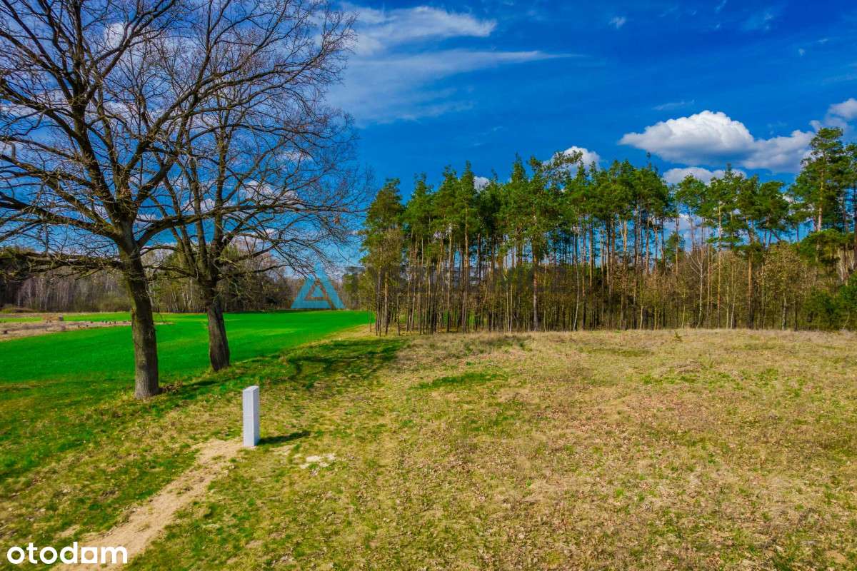 Działka Rolna z WZ Łąg Kolonia- 1173m2 - Pełny obrazek: 5/13