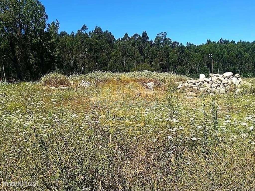 Terreno em vila do conde com 2400 metros vistas de rio - Grande imagem: 5/12