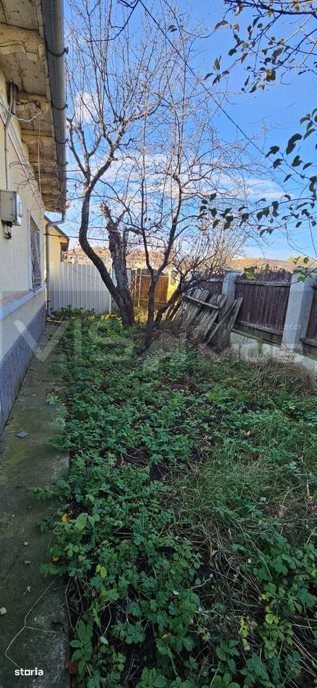 Casă de vânzare - Satul Catolic-5