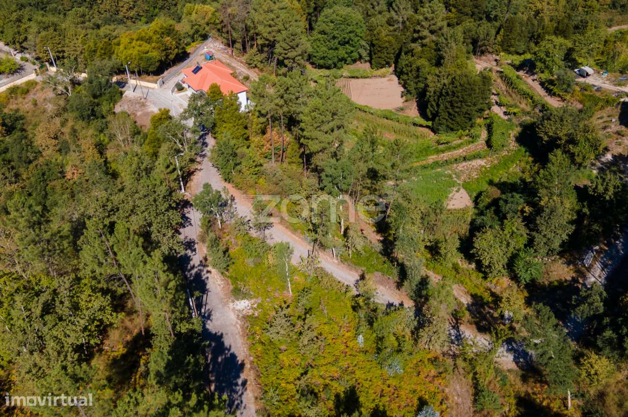 Terreno Rústico em Gatão, Amarante. - Grande imagem: 3/22