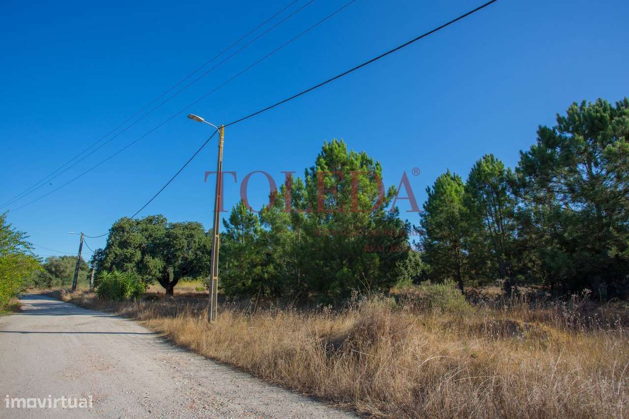 Terreno Monte Lagarto - Palmela - Grande imagem: 2/21