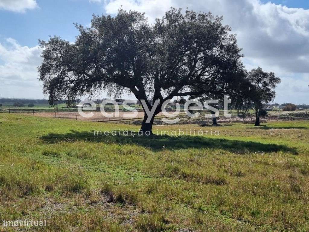 Monte em Ferreira do Alentejo c/ moradia T2 - Beja - Grande imagem: 4/24