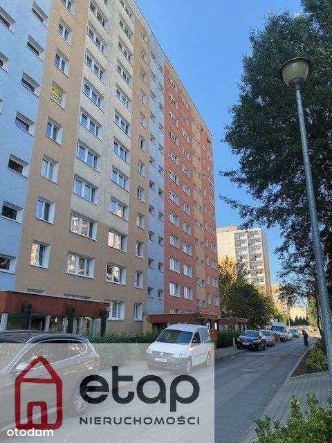 Ustawne dwa pokoje z osobną kuchnią-12