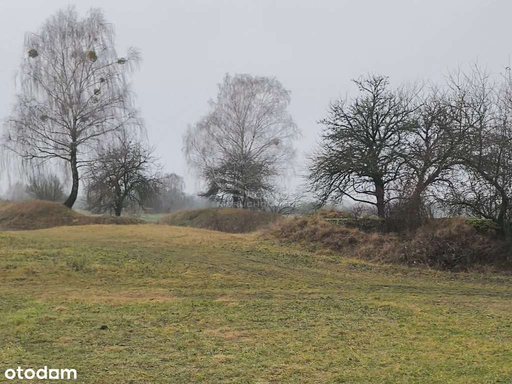 Ziemia rolna o pow. 3,9 Ha w gminie Terespol-1