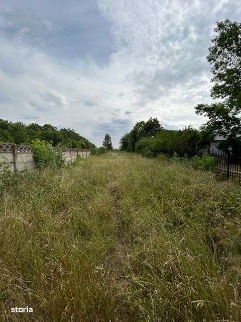 Snagov Deschidere la Lac Ciolpani Complex Izvorani teren de vanzare - Imagine principală: 3/10