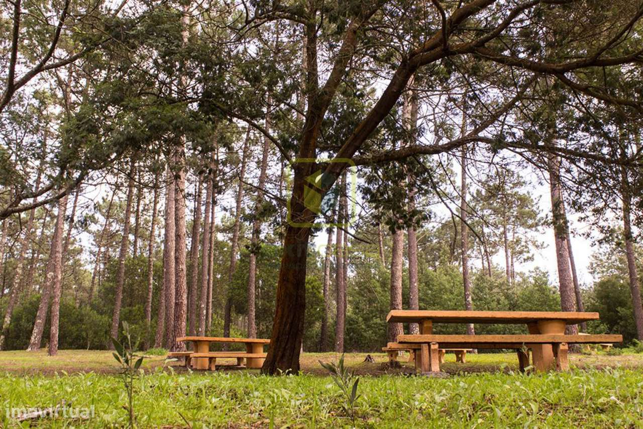 Lote de Terreno - Grande imagem: 4/11