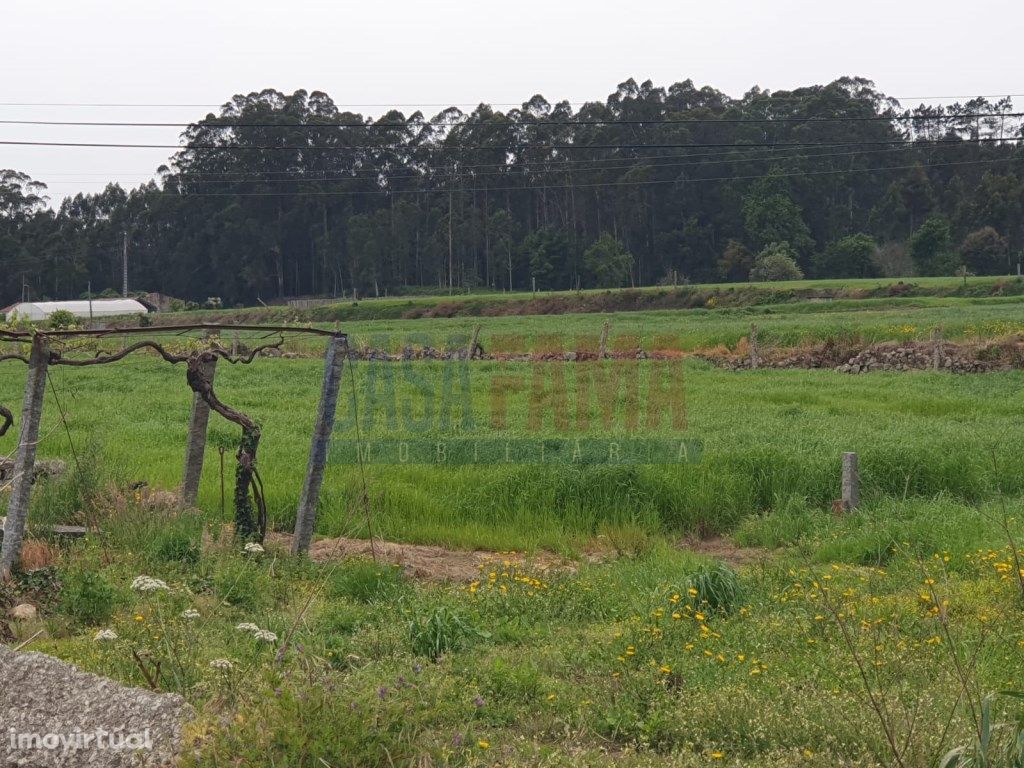 Terreno agrícola em Carvalhas - Barcelos