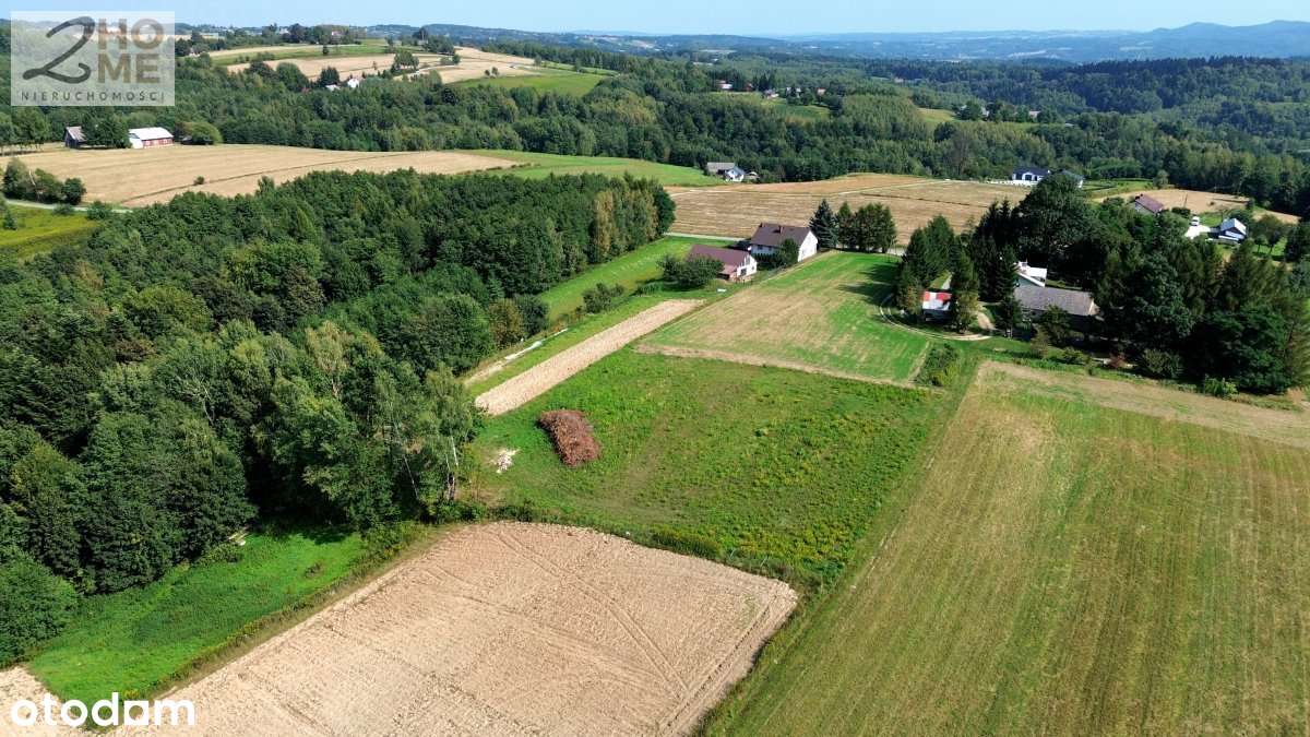 Twój kawałek spokoju - 38 arów w Gębiczynie-3