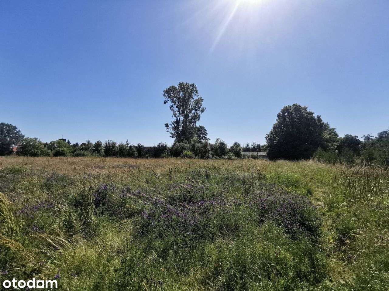 Działki budowlane w centrum (5 szt.)- Lipka-11