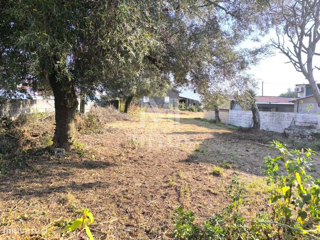 Terreno de construção para venda em Barroselas - Viana do Castelo - Grande imagem: 4/6