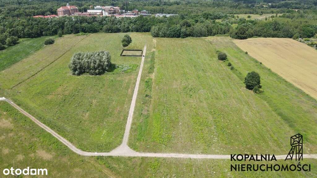 Akrakcyjne działki Zabrze Kasprowicza - Pełny obrazek: 3/7