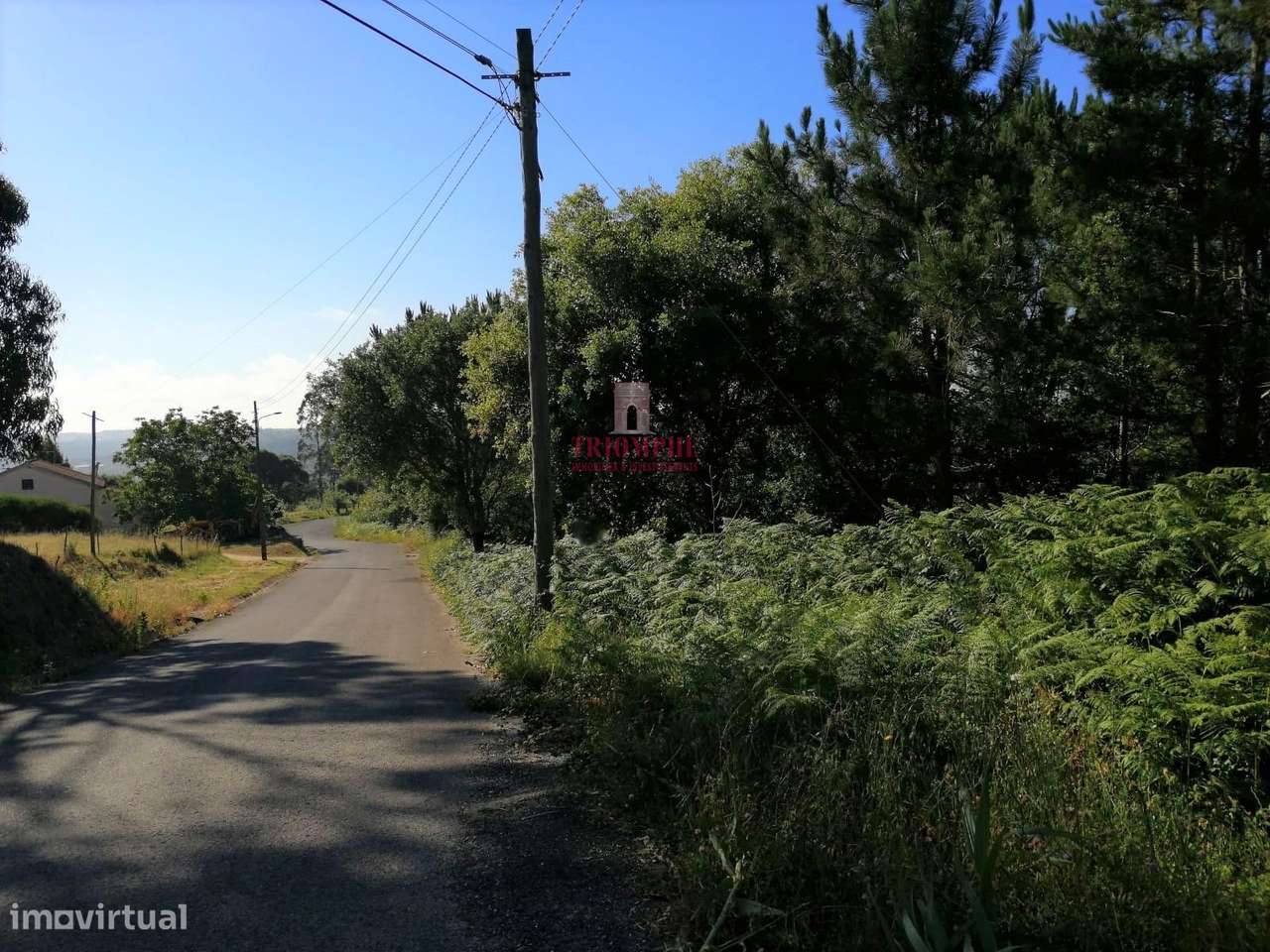 Terreno com poço, Caldas da Rainha - Grande imagem: 4/5