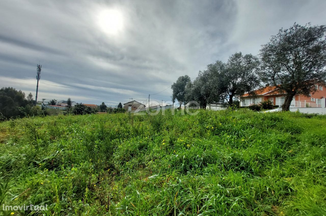 Terreno Urbano em Travassô