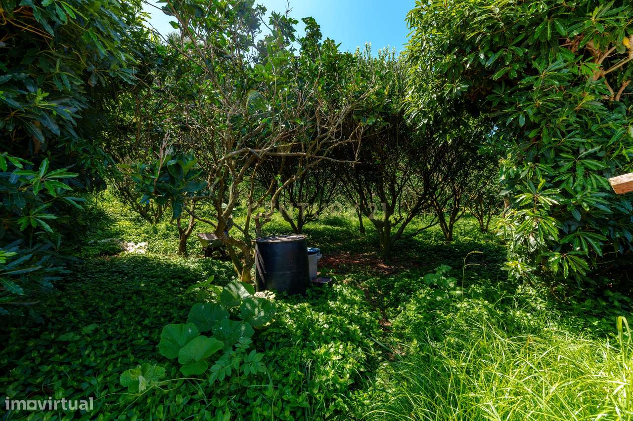Moradia T4 com 2.971 m² de Terreno e Vista Panorâmica-54