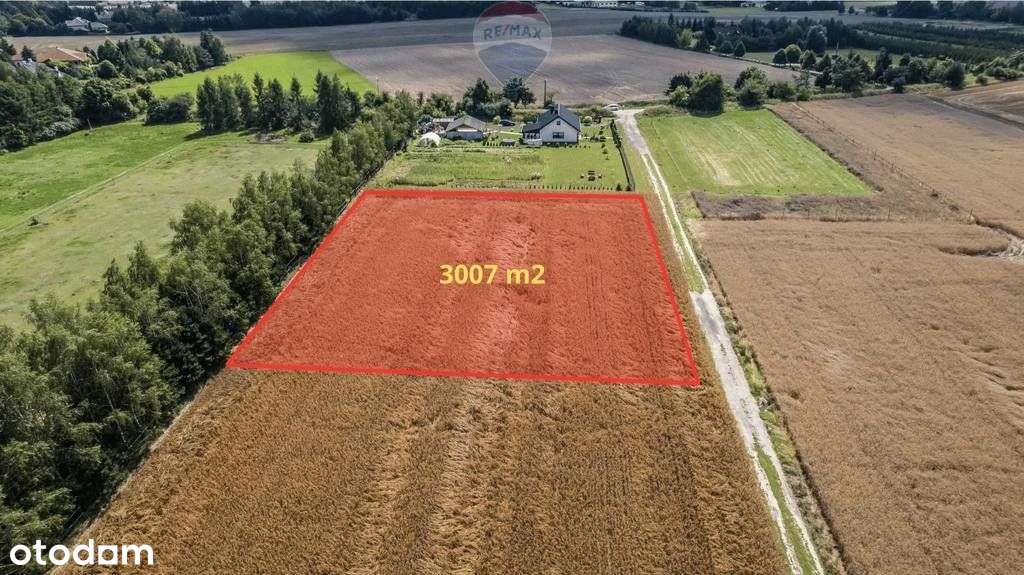 Kicin k/Poznania|3007 m²|Kapitał rosnący w ciszy - Pełny obrazek: 4/20