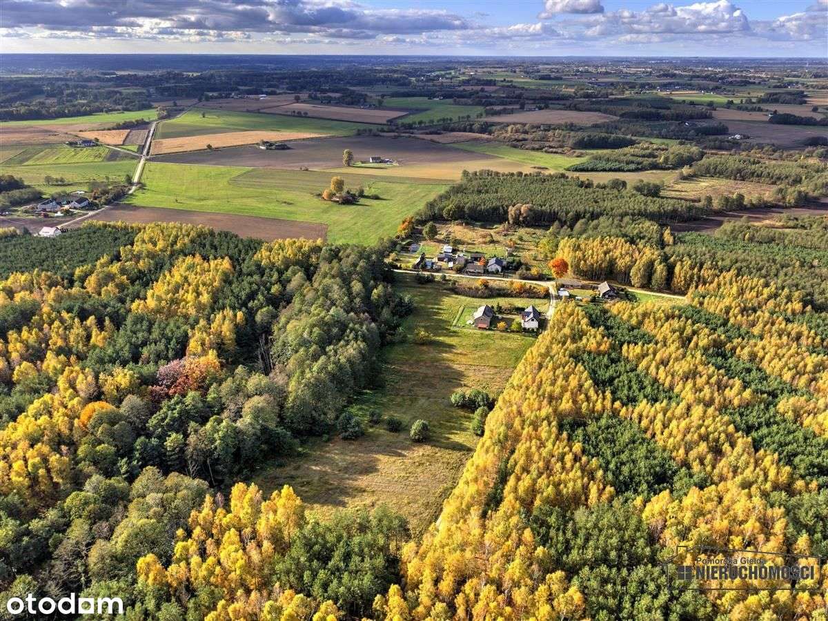 Działka pod lasem na raty - Piaseczno-13