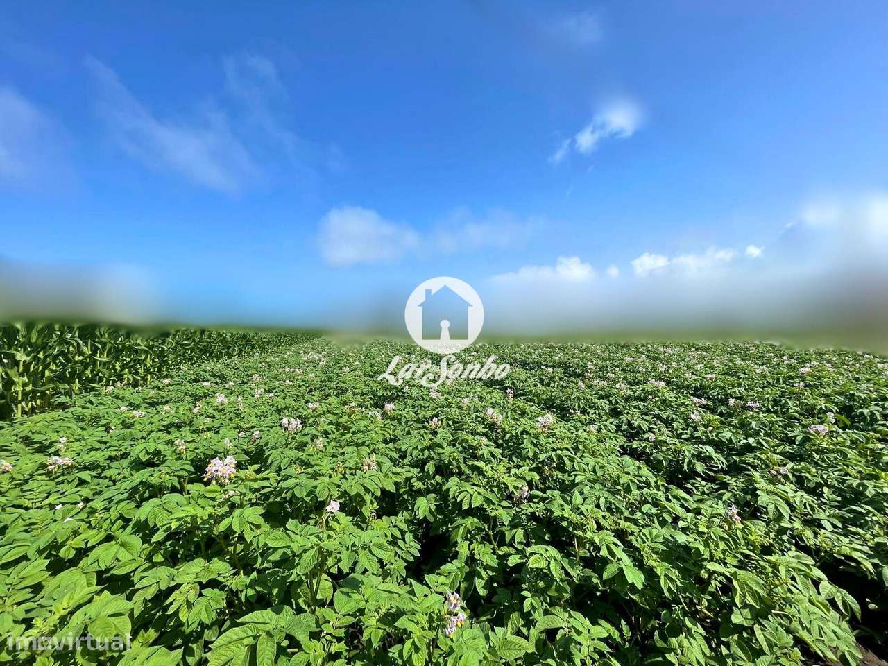 Terreno para construção em Apúlia - Grande imagem: 2/27