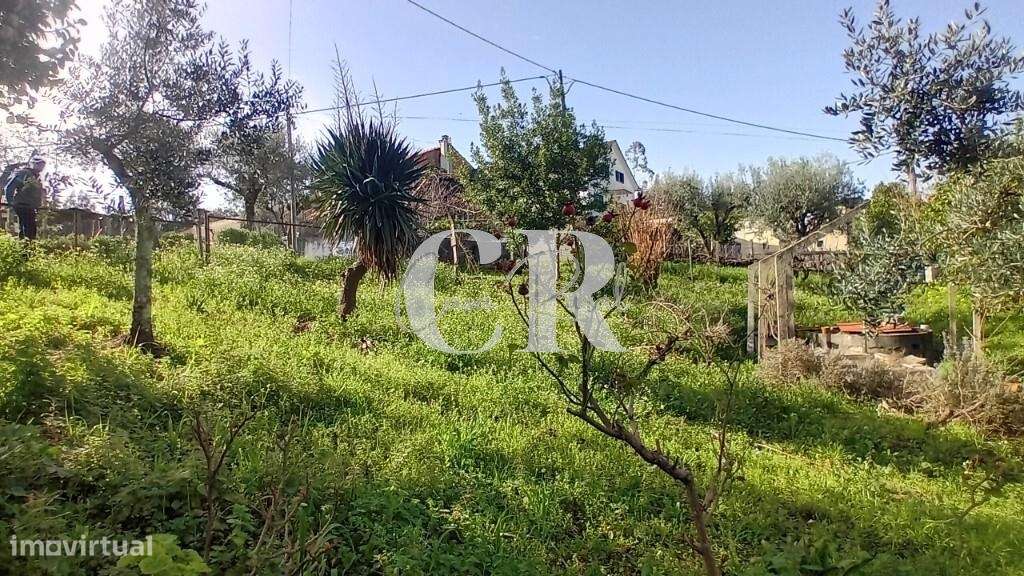 Moradia em pedra em Figueiró dos Vinhos com terreno e poço de água-20