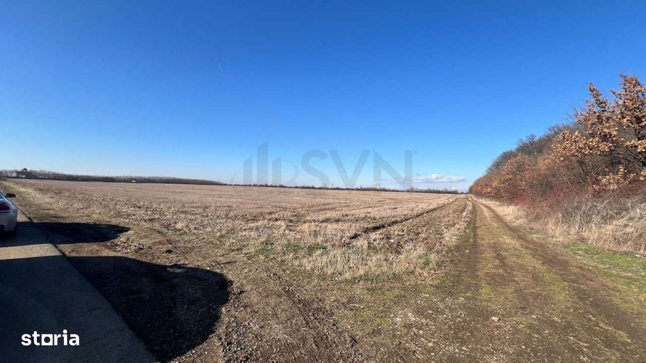 Corbeana - Ostratu 15200 mp langa padure - Imagine principală: 3/8