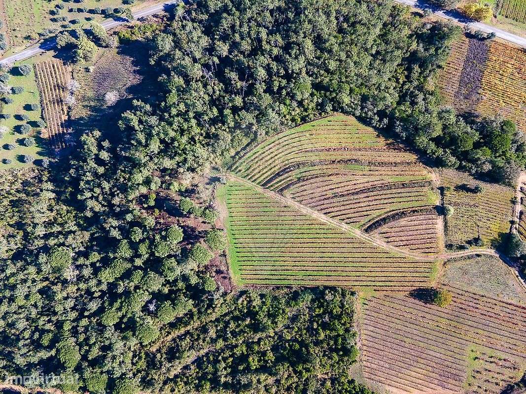 Terreno  para venda - Grande imagem: 4/26