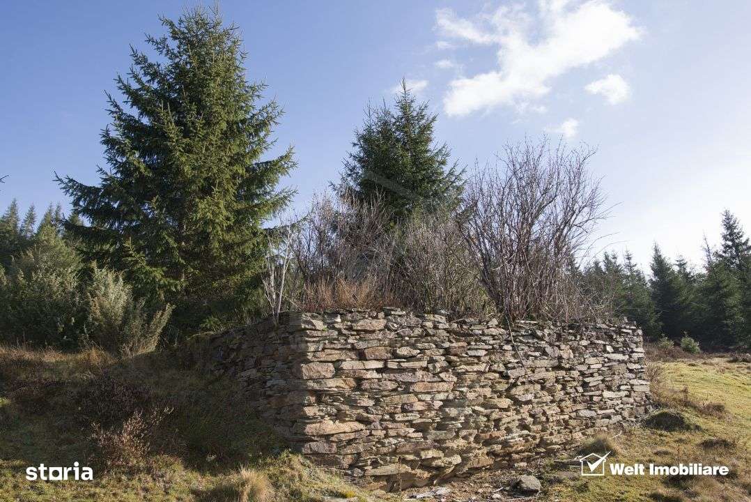 Se vinde teren cat un munte in Apuseni - Poiana Horea-8
