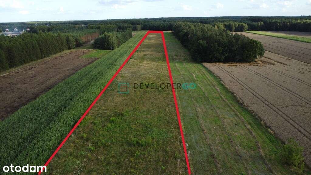 Działka pod inwestycję - Dąbrówka Wyłazy - Pełny obrazek: 5/5