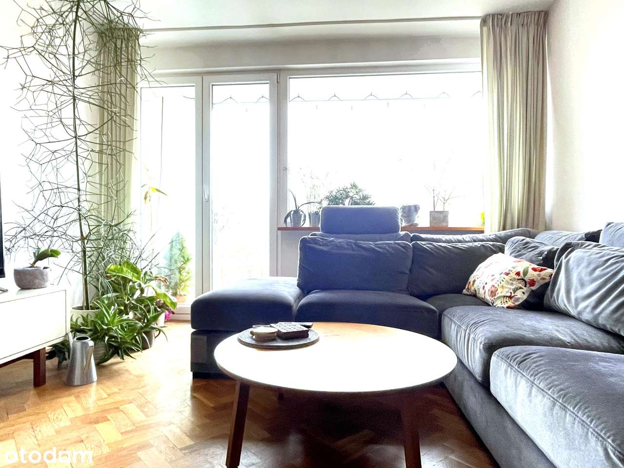 Centrum Stare Miasto Media Miejskie Widok Panorama Rozkładowe-4