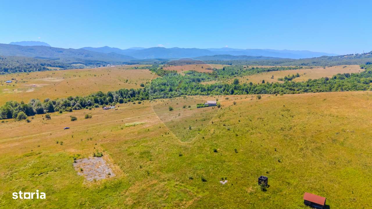 COMISION 0% Teren de 2177 mp/proiectul  LaDumbrava /PLATĂ ÎN RATE - Imagine principală: 4/6