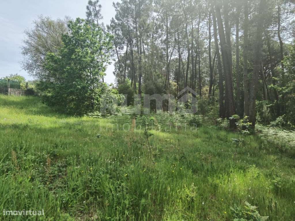 Terreno apto para construção em Valença - Excelente Oportunidade! - Grande imagem: 3/9