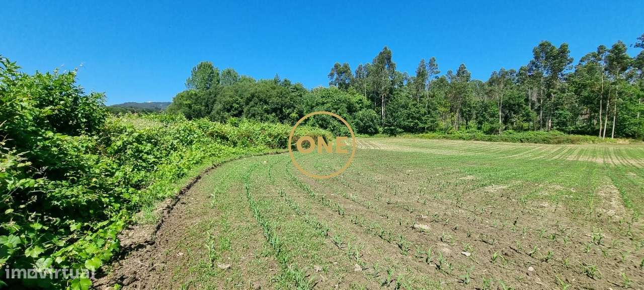 Terreno Rústico em Carreira, Santo Tirso - Grande imagem: 4/8