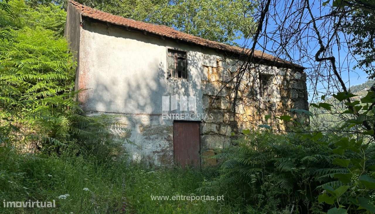 Venda Terreno, São Cristóvão de Nogueira, Cinfães - Grande imagem: 2/30
