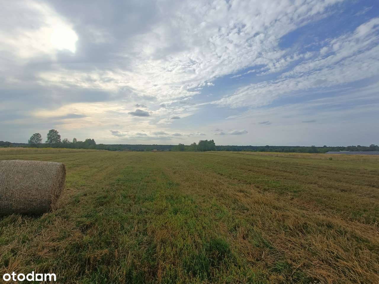 | Spokój, natura i wygoda | Widok na zieleń bez opłat za drogę | - Pełny obrazek: 5/12