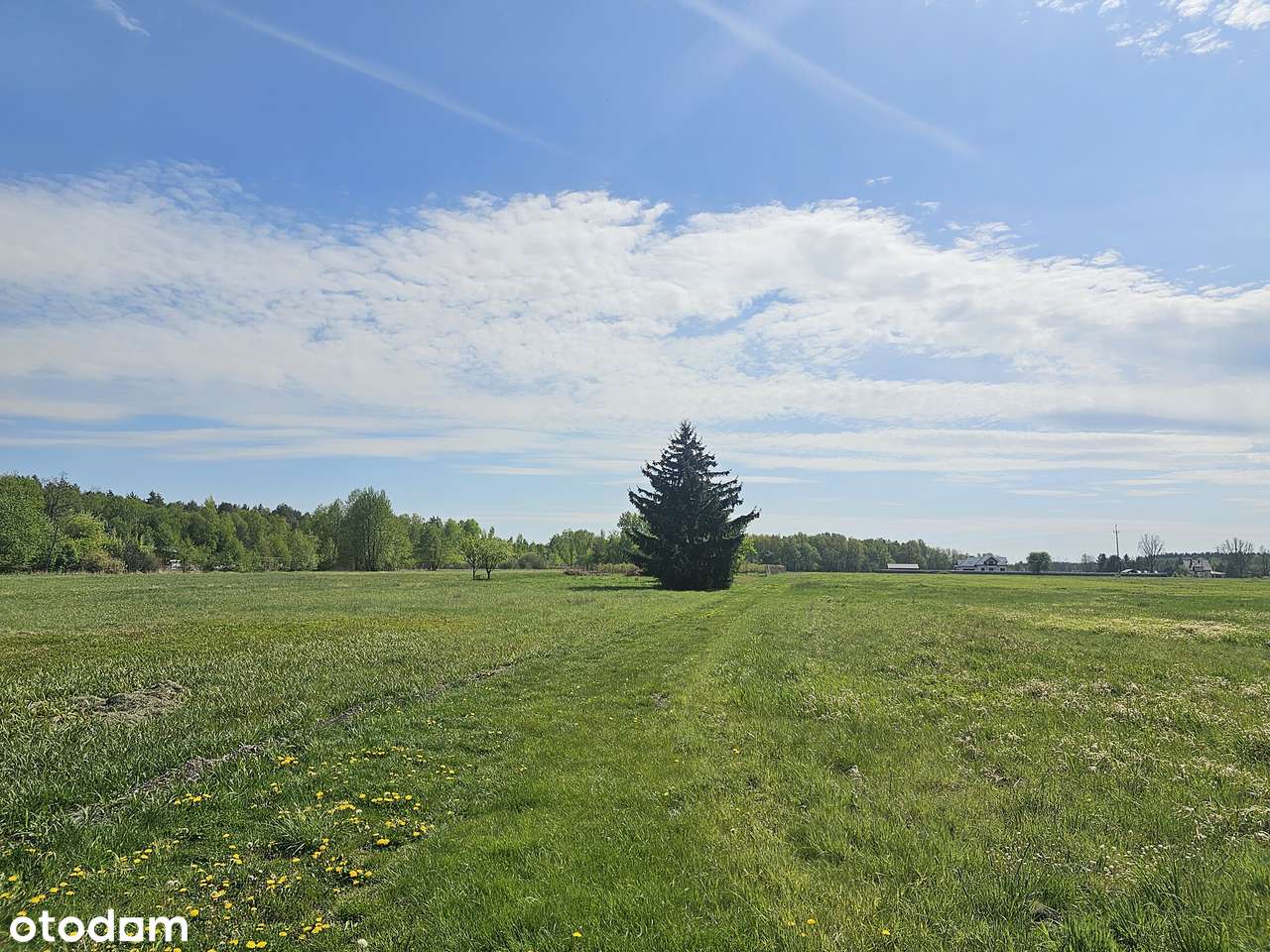 Piękne działki. Uchwalony plan. Obok szkoły, przystanku. Cisza, zieleń-3