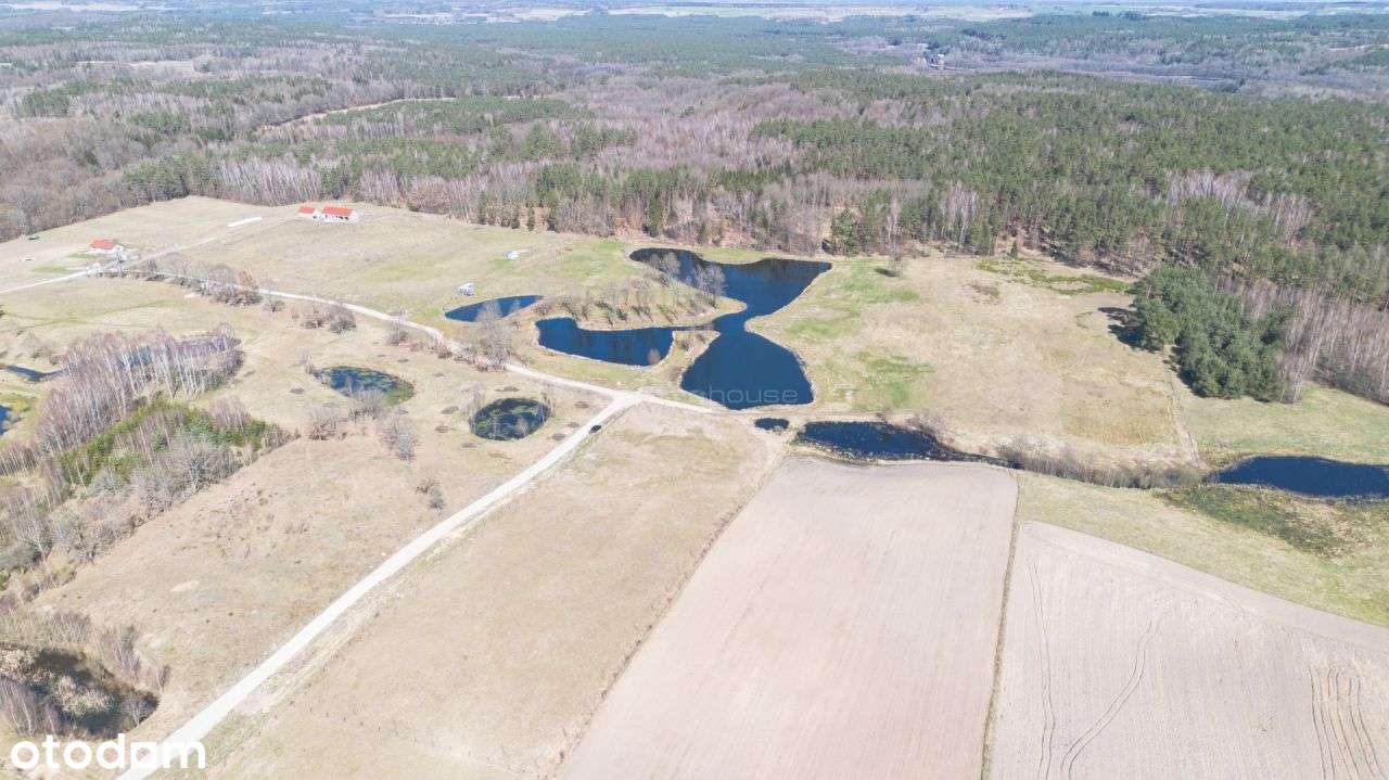 Wyjątkowo malownicze działki w otulinie lasu ! - Pełny obrazek: 4/8