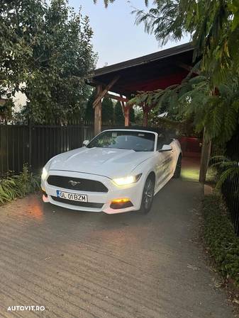Ford Mustang Convertible 2.3 Eco Boost Aut. - 5