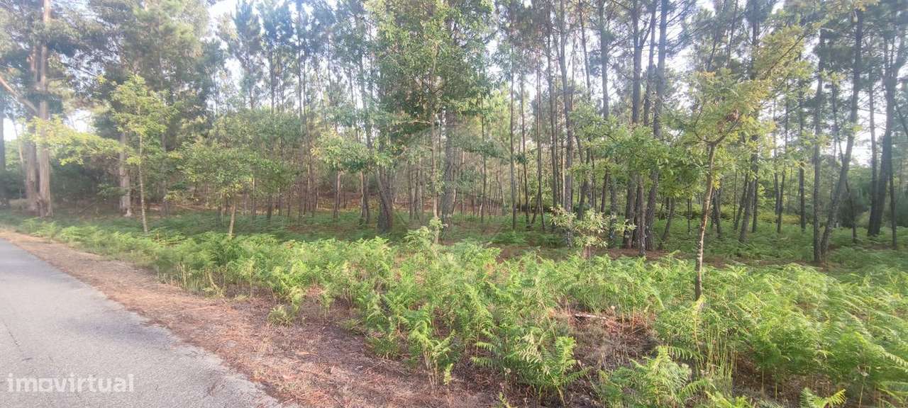 Terreno  para venda - Grande imagem: 2/8