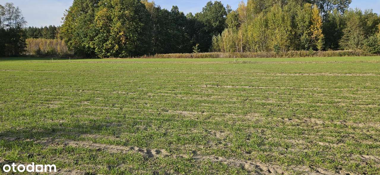 Działki budowlane 1200-2000 m2 - Pełny obrazek: 4/5