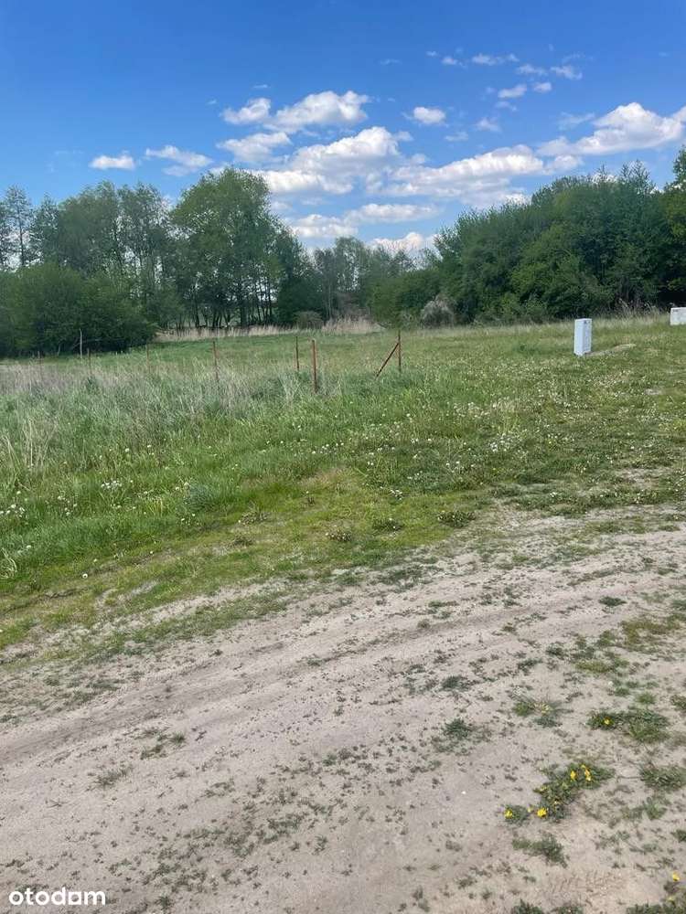 Powidz Kosewo działka rekreacyjna - Pełny obrazek: 5/10