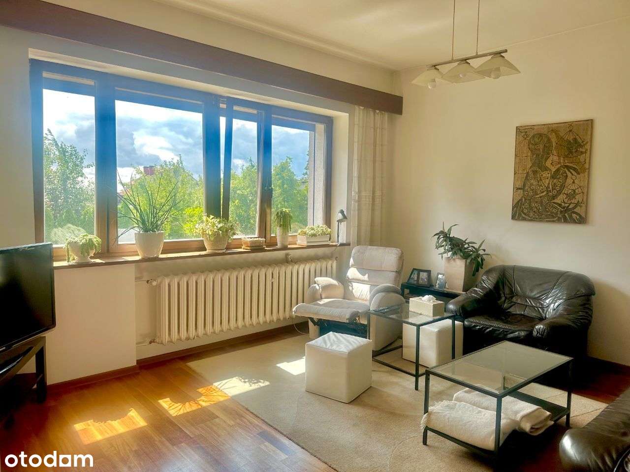 Dom w Centrum Chojnic - Pełny obrazek: 5/16