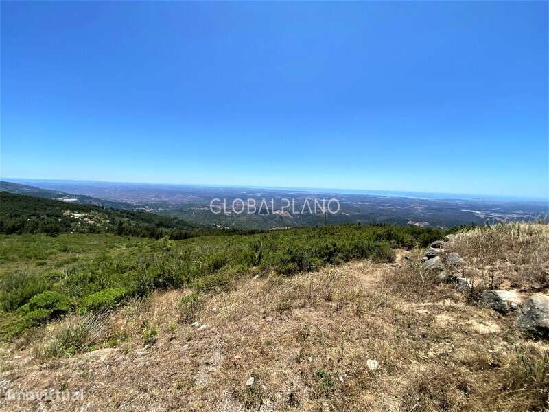 Terreno com viabilidade de construção, Foia, Monchique - Grande imagem: 2/4