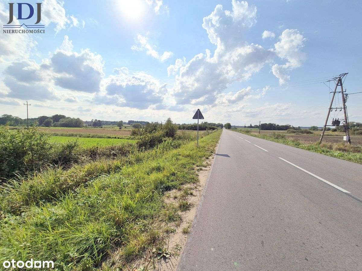 Działka 3 ha z  Warunkami Zabudowy. Kulczyn Kol. - Pełny obrazek: 1/6