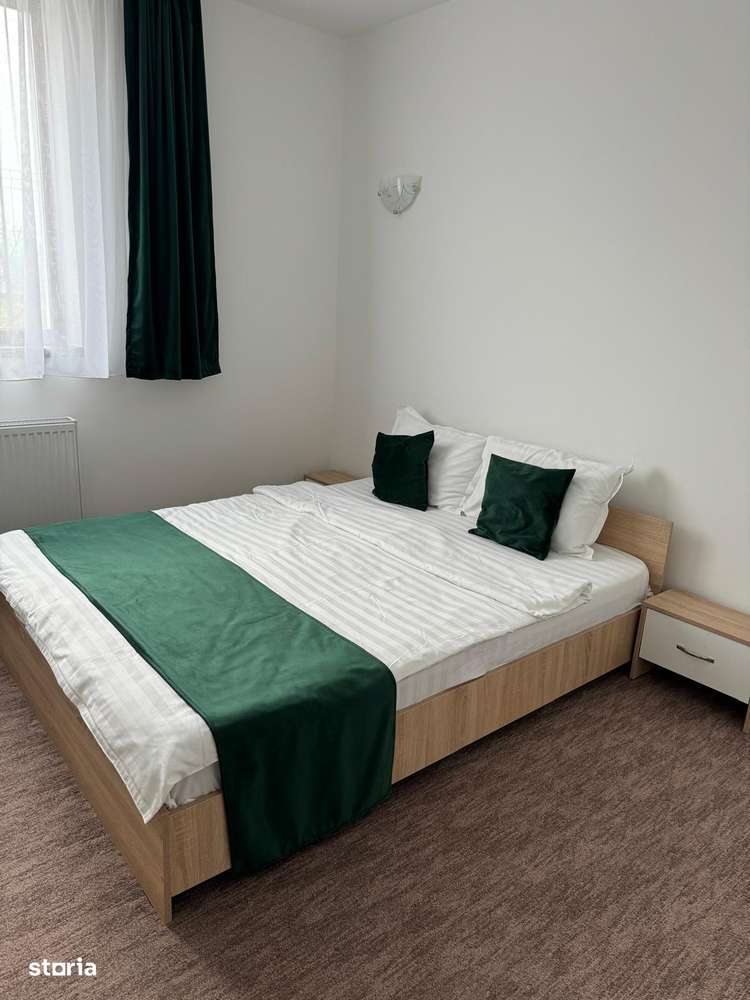 RAMDA,Afacere la Cheie Pensiune 9 CAMERE Baile 1 Mai Baile Felix-8