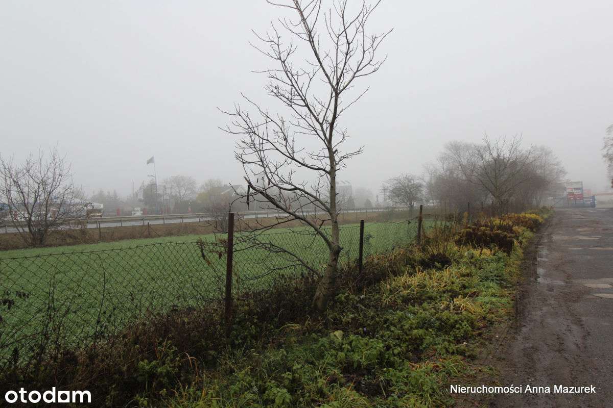 Dom z dużą działką, idealną pod AG, przy trasie nr 92 w Paczkowie-13