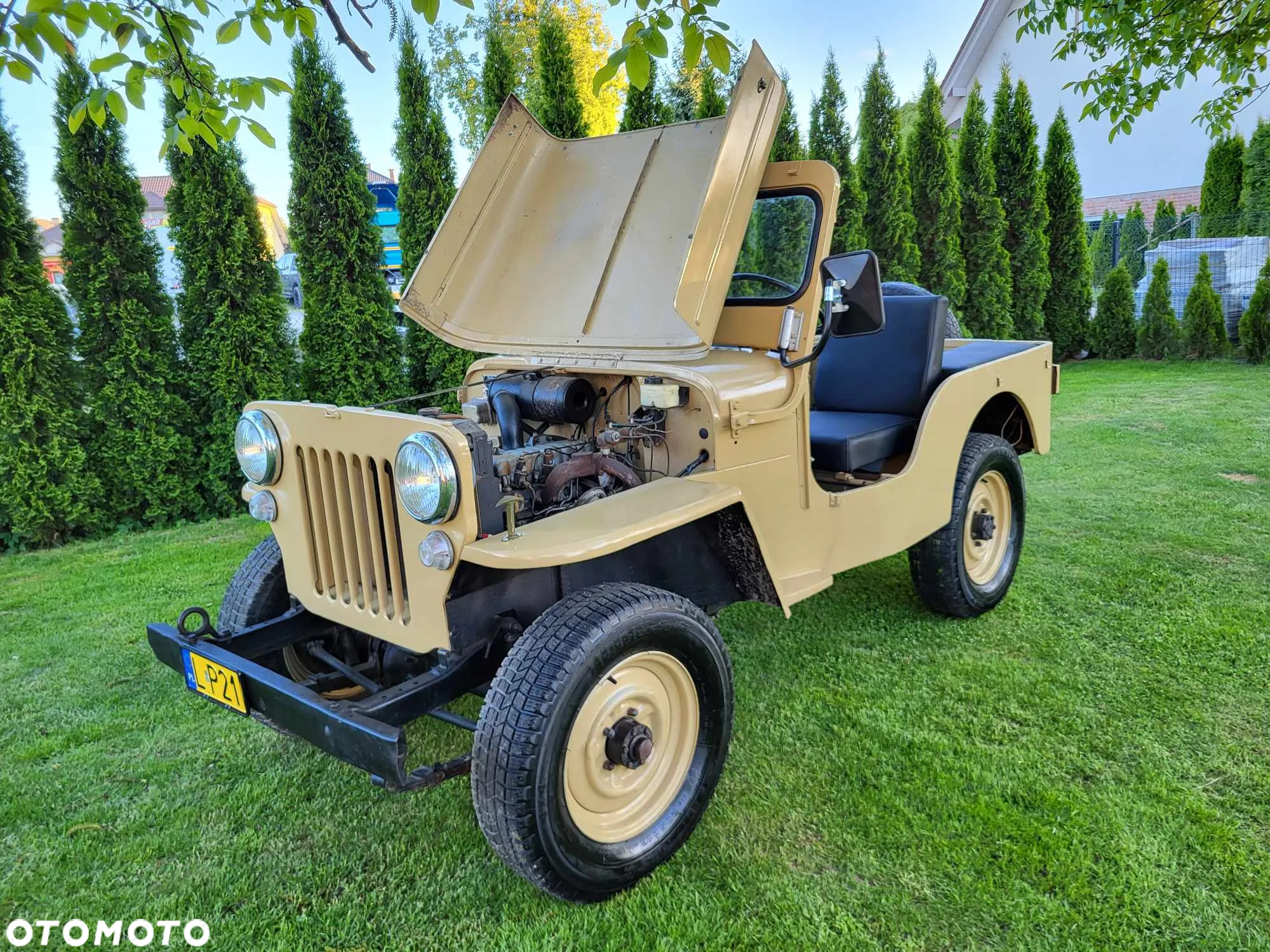 Jeep Willys - 11