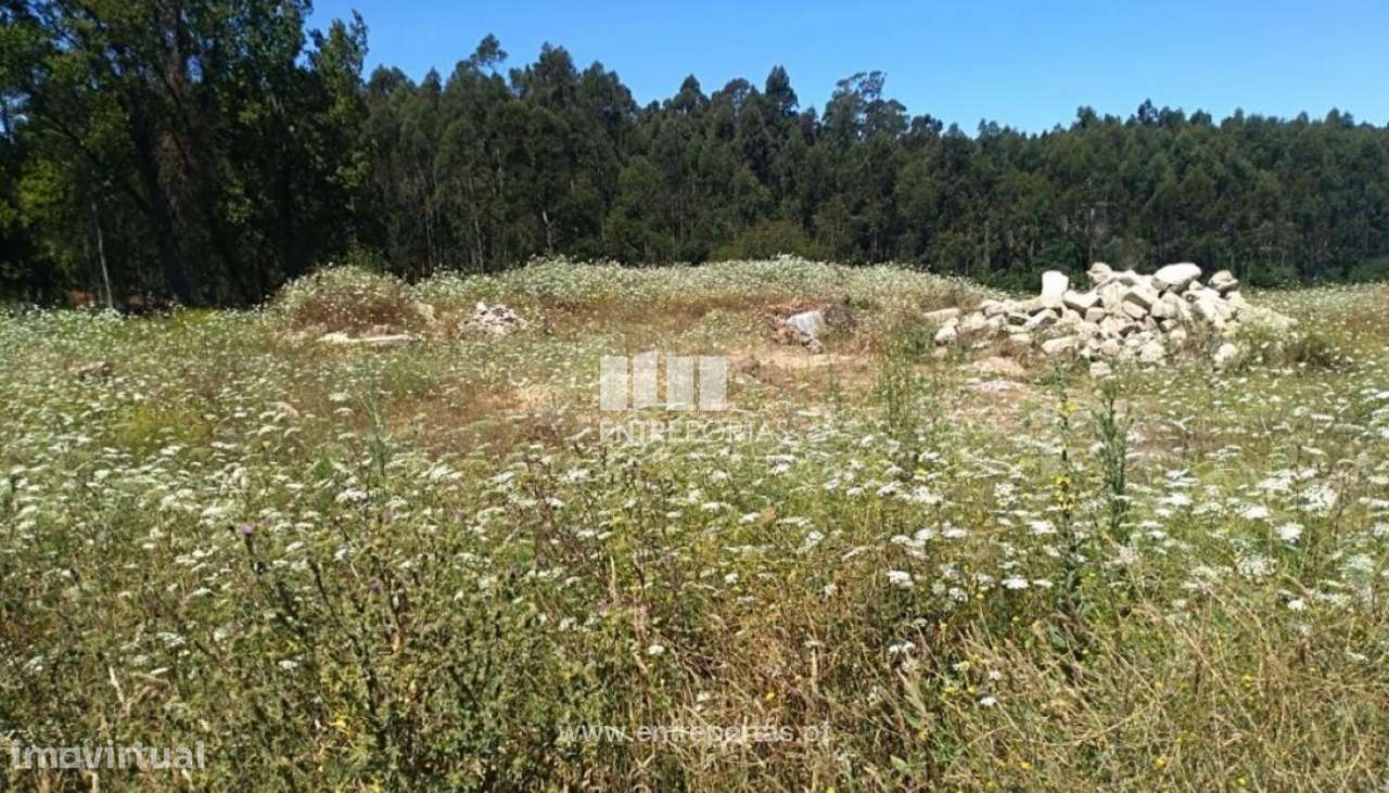 Terreno com 2400 m2, para venda, Retorta, Vila do Conde - Grande imagem: 3/12